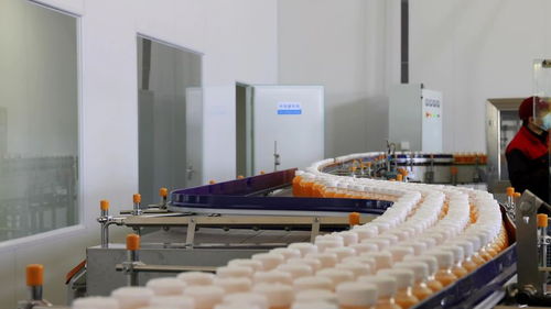 千企競“質(zhì)”，向“新”而行 小沙棘如何為鄉(xiāng)村振興注入強(qiáng)勁動(dòng)能